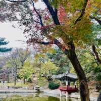 東方皇家花園看紅葉