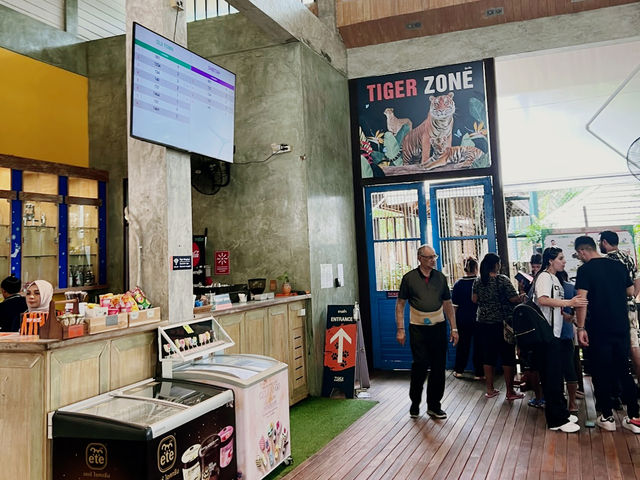 Tiger Kingdom Phuket