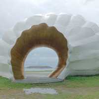 「旗津海岸公園遊客中心」貝殼博物館，增廣見聞