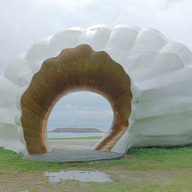 「旗津海岸公園遊客中心」貝殼博物館，增廣見聞