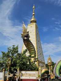 📍วัดพระธาตุหนองบัว อ.เมือง 