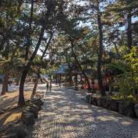 Sumiyoshi Taisha Shrine