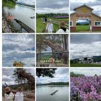 Singha Park Chiang Rai