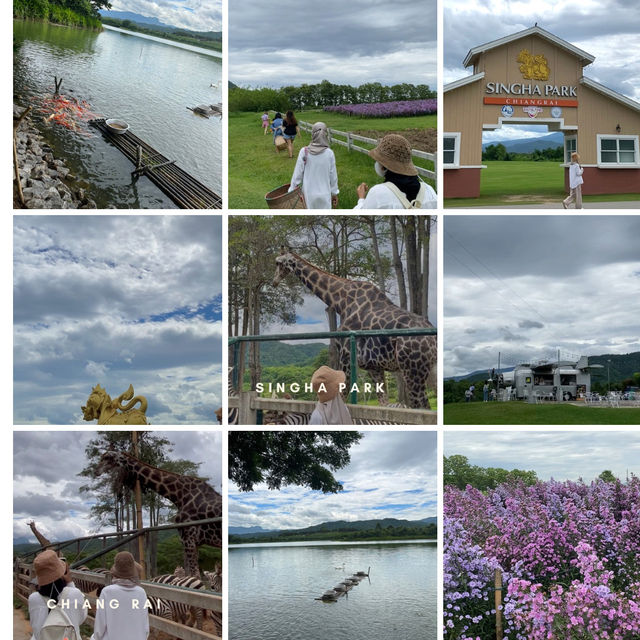 Singha Park Chiang Rai