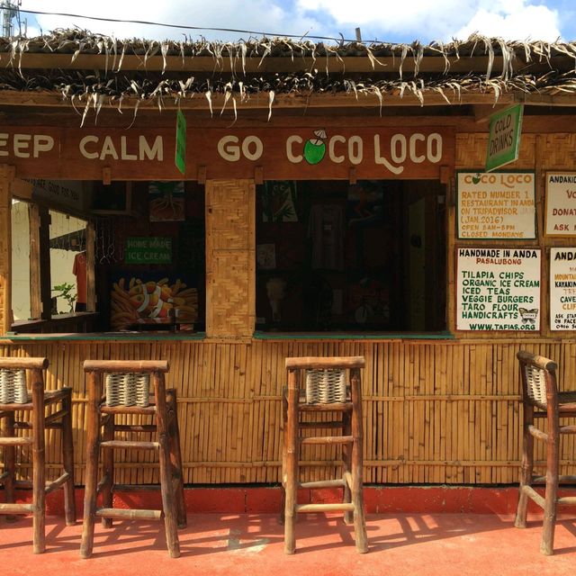 ♡菲律賓~薄荷島 Bohol Island