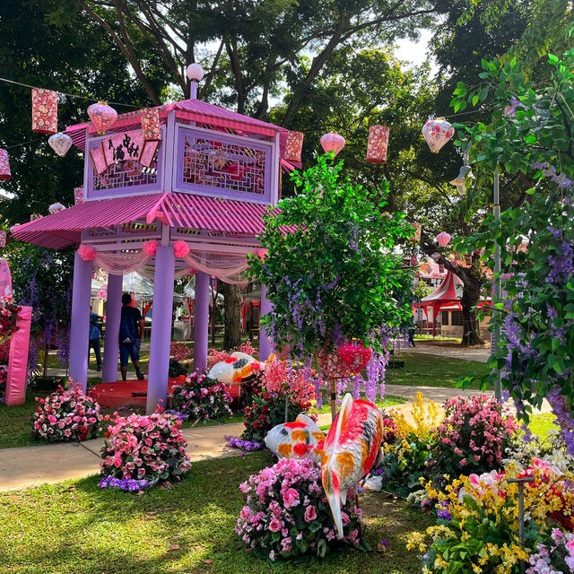 🇲🇾 Bloom with Beauty: Discover Flower Blossoms at Armenian Park