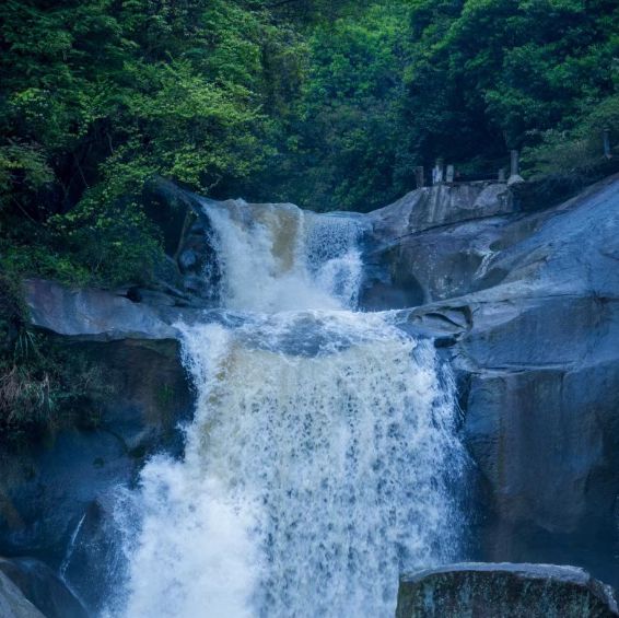 親川滝 - 鬱鬱蔥蔥