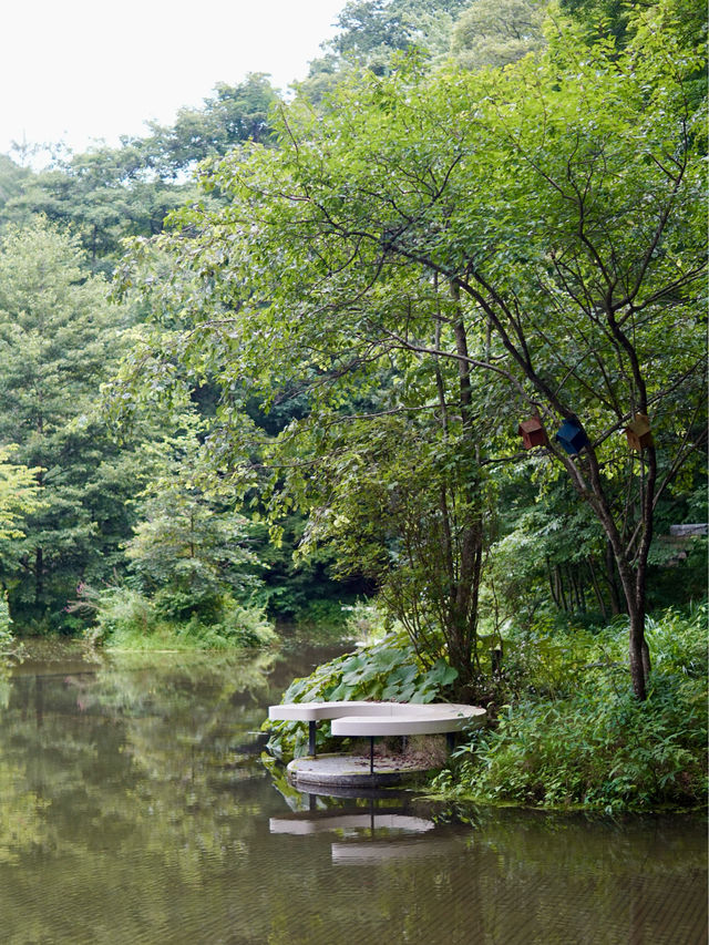 輕井澤 | 必訪天空之鏡湖景半圓特色咖啡店✨