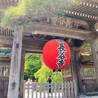 東京旅遊🍀鎌倉一日遊！長谷寺繡球花之旅