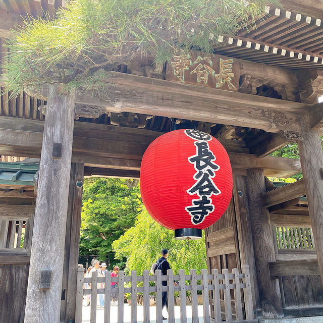 東京旅遊🍀鎌倉一日遊！長谷寺繡球花之旅