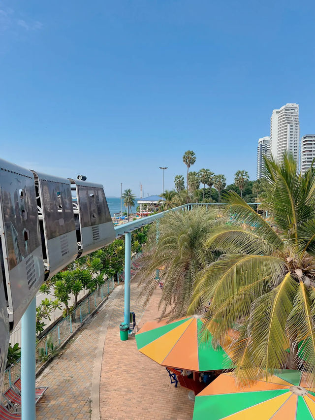 🚝 นั่งรถไฟโมโนเรลชมวิวสวยสุดปังริมทะเลพัทยา!