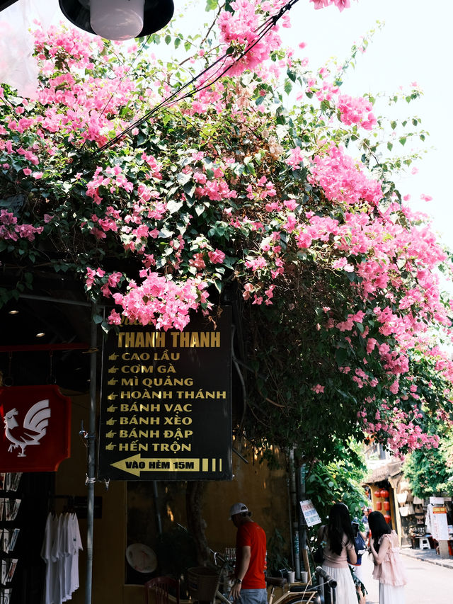 🇻🇳峴港旅行·充滿鮮花和明豔黃牆的會安古城