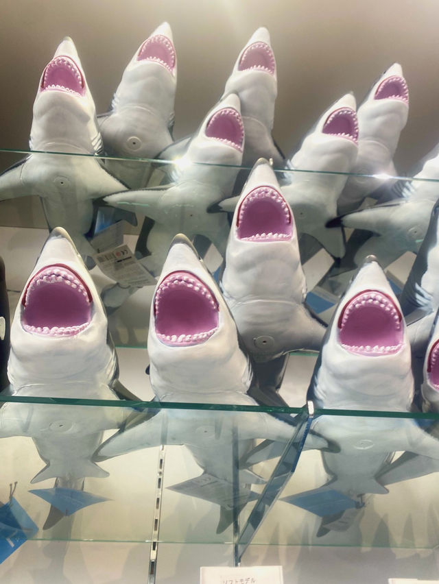 【祝🎉20周年！】展示会が魅力的な新江ノ島水族館🦭