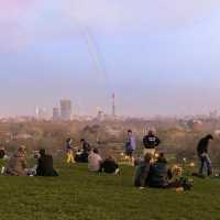 Picnic At Primrose Hill