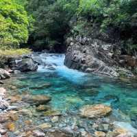 輕風露營營地⛺️自然環繞