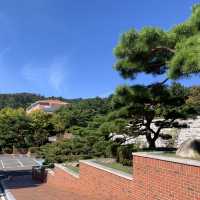 "드라마 속 그곳, 계명대학교의 진면목"