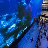 【世界最大級！】ドバイのショッピングモール🇦🇪