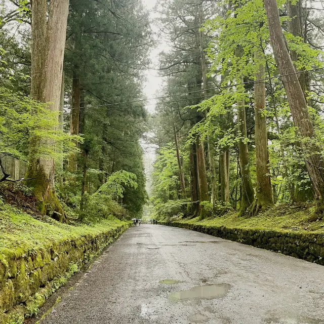 距離東京很近的世界遺產城市日光