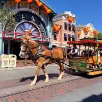 念願のアメリカディズニー