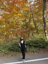 日本輕井澤「星野溫泉 蜻蜓之湯」