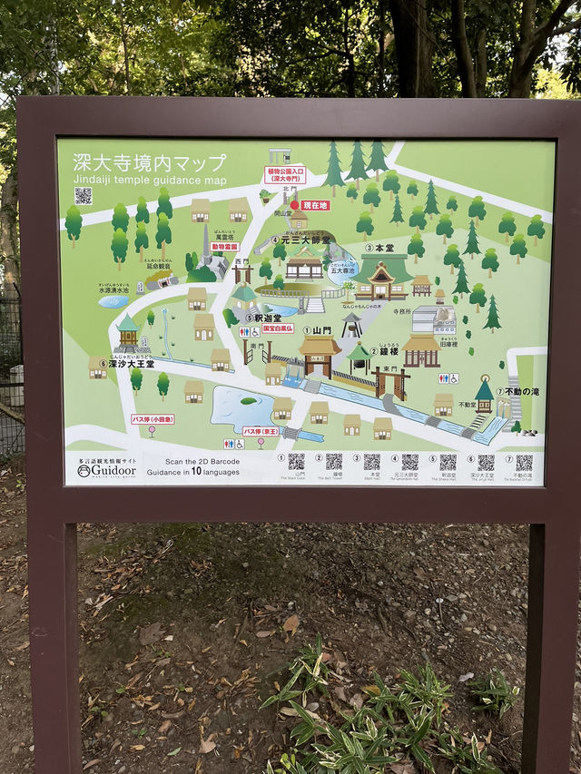 【国宝・東京深大寺】東日本最古の国宝仏を拝めます