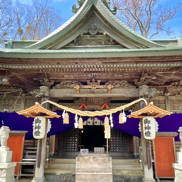 【山梨県】美しい白い毛並みの「旺輝」が可愛い