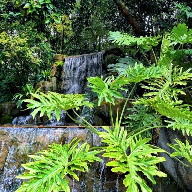 🌿 Revisited an urban green lungs, the Perdana Botanical Gardens, KL.