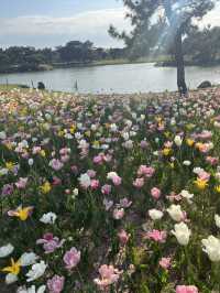 【福岡】海の中道海浜公園