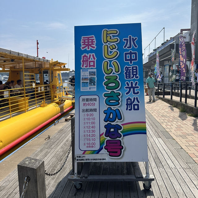 東京郊區：三浦半島吞拿魚美食一日遊之旅