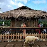 บ้านแกะแม่ขิ-Maekee Sheep House  🐑