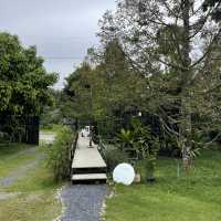 พิกัดคาเฟ่แนวบ้านสวน ร้านสวย