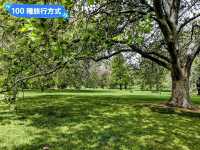 墨爾本賞花-南半球百花綻放的皇家植物園
