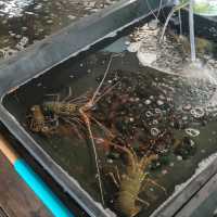 " Lanta island " ลันตาลันใจ เกาะเล็กๆแสนสงบ