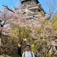 Exploring the Wonders of Hiroshima Castle!