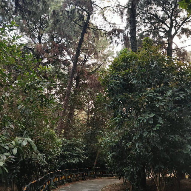 新坑水庫：風光明媚🌅🏞️