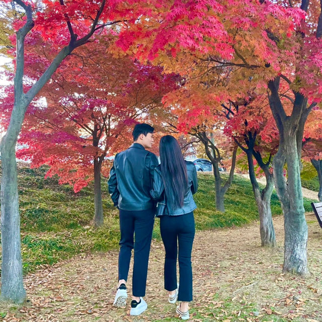 핑크뮬리 + 단풍을 동시에 즐길 수 있는 여기는⁉️