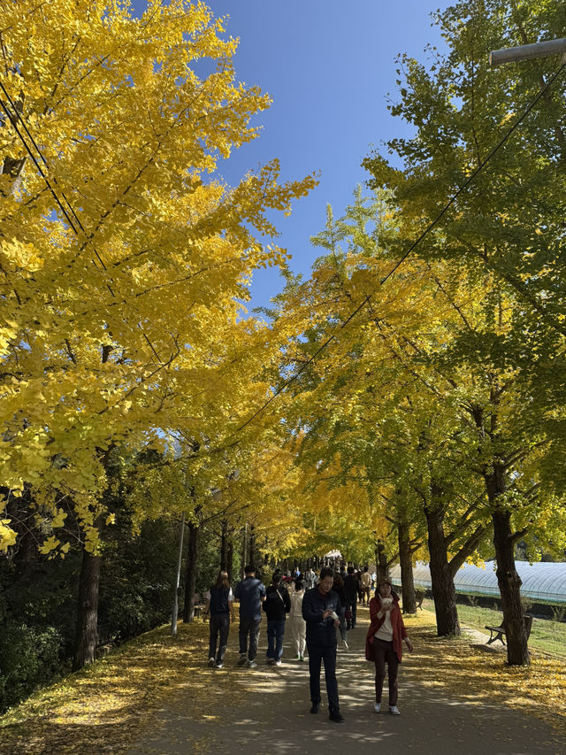 경남에두 가을이 왔어요🍂