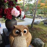 🇯🇵【島根県】由志園！！紅葉シーズンが更に美しい✨