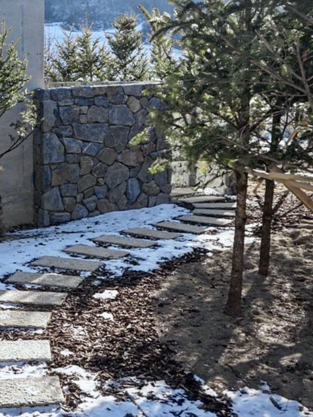 ☃️ 포근한 겨울 감성의 🩵강원도 눈꽃 겨울여행지 추천 🩵