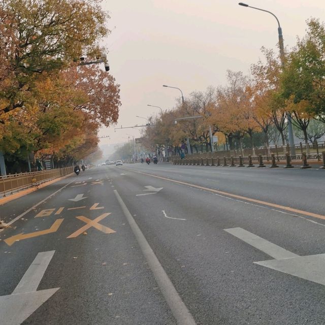 Catching the tail of autumn