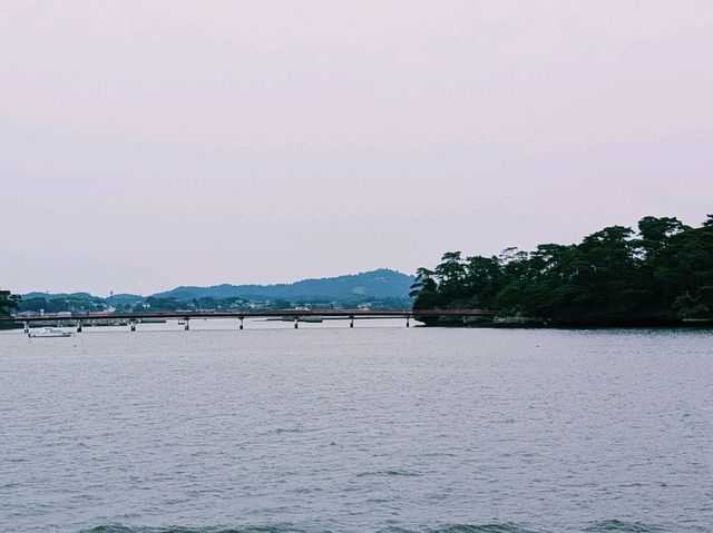 【宮城松島 船で島巡り 後半：デッキで感じる風とカモメのサーフィン】
