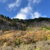 【屏風岩公苑】　曽爾高原