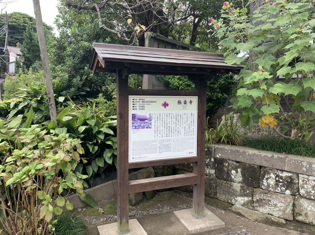 鎌倉観光　極楽寺