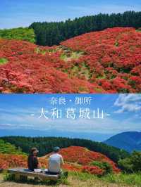 景點推薦：大和葛城山——大阪賞楓與自然的絕佳去處