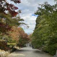 🍁 Nison-in Temple: A Peaceful Autumn Retreat in Arashiyama 🍁
