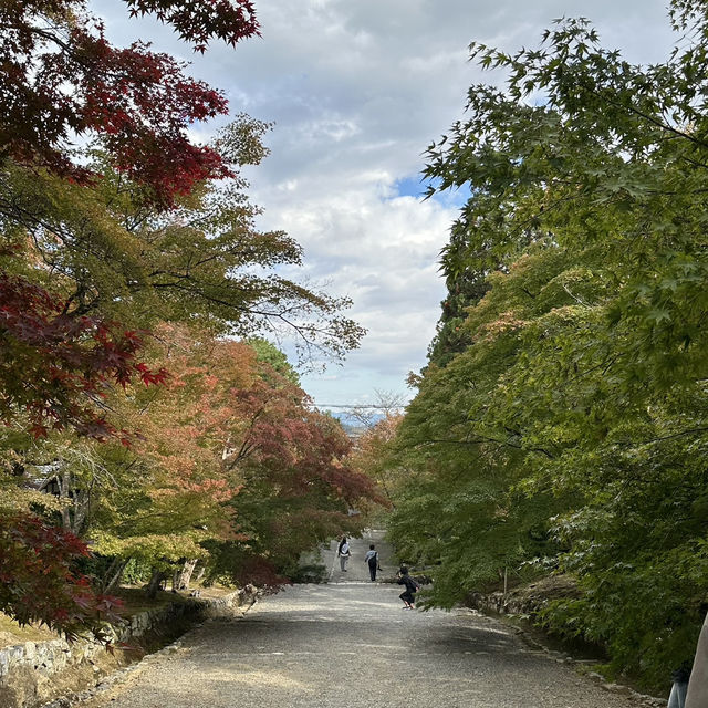 🍁 Nison-in Temple: A Peaceful Autumn Retreat in Arashiyama 🍁