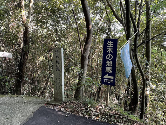 🇯🇵【愛媛】耳の病気が叶う！？切山（生き木地蔵）