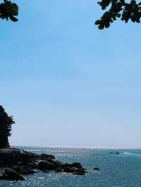 เสือผืน หมอนใบ คาเฟ่, ภูเก็ต 🌊☕️🌞