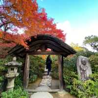 慶沢園：紅葉盛宴 🍁⛩️