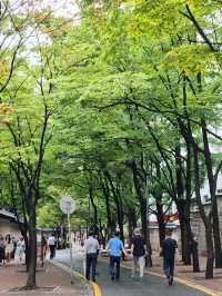 함께 걸으면 없던 로맨스도 생긴다는 덕수궁 돌담길🚶🏻‍♀️🚶